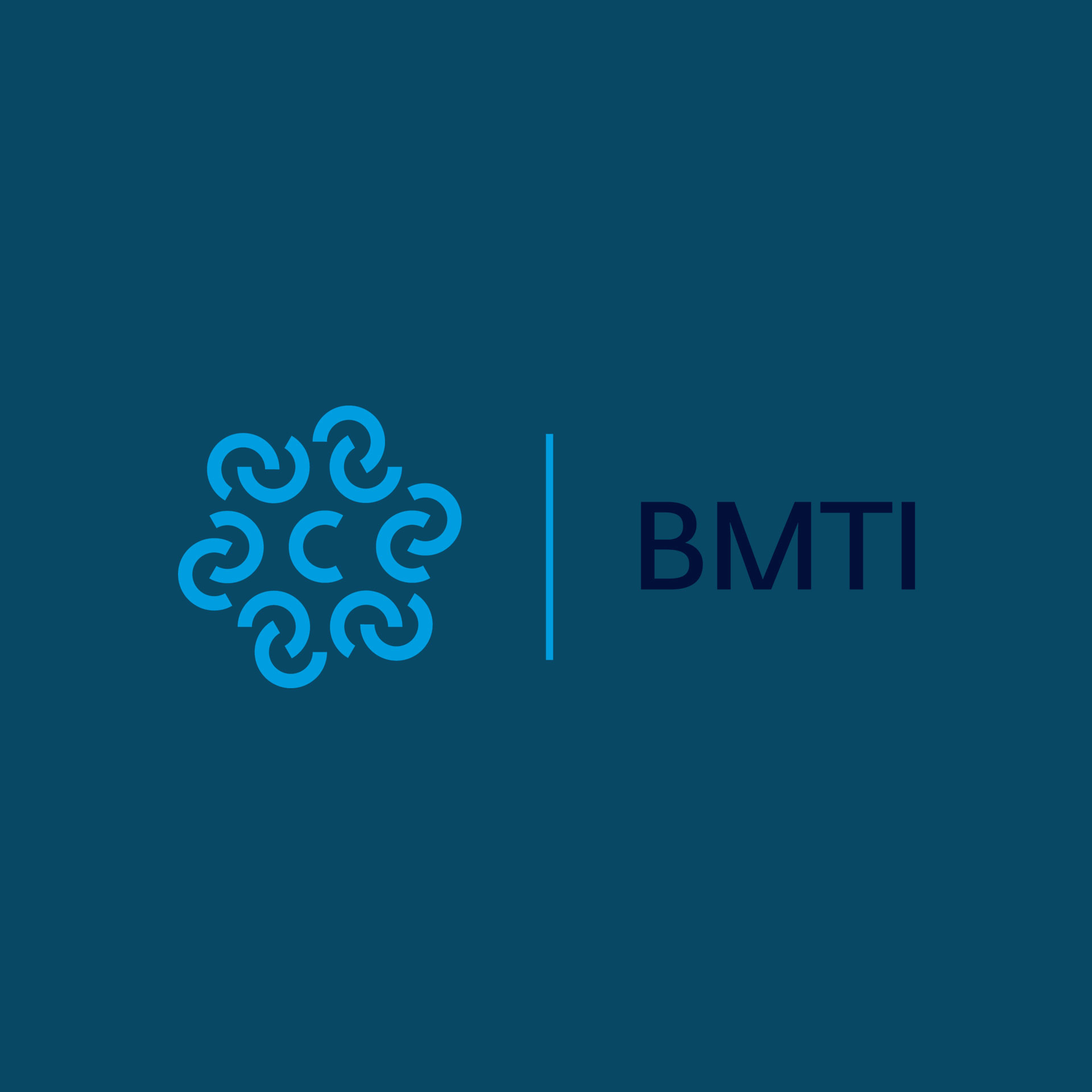 PROGETTO BORSA MERCI TELEMATICA