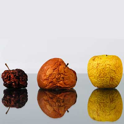PROGETTO SHELF LIFE
